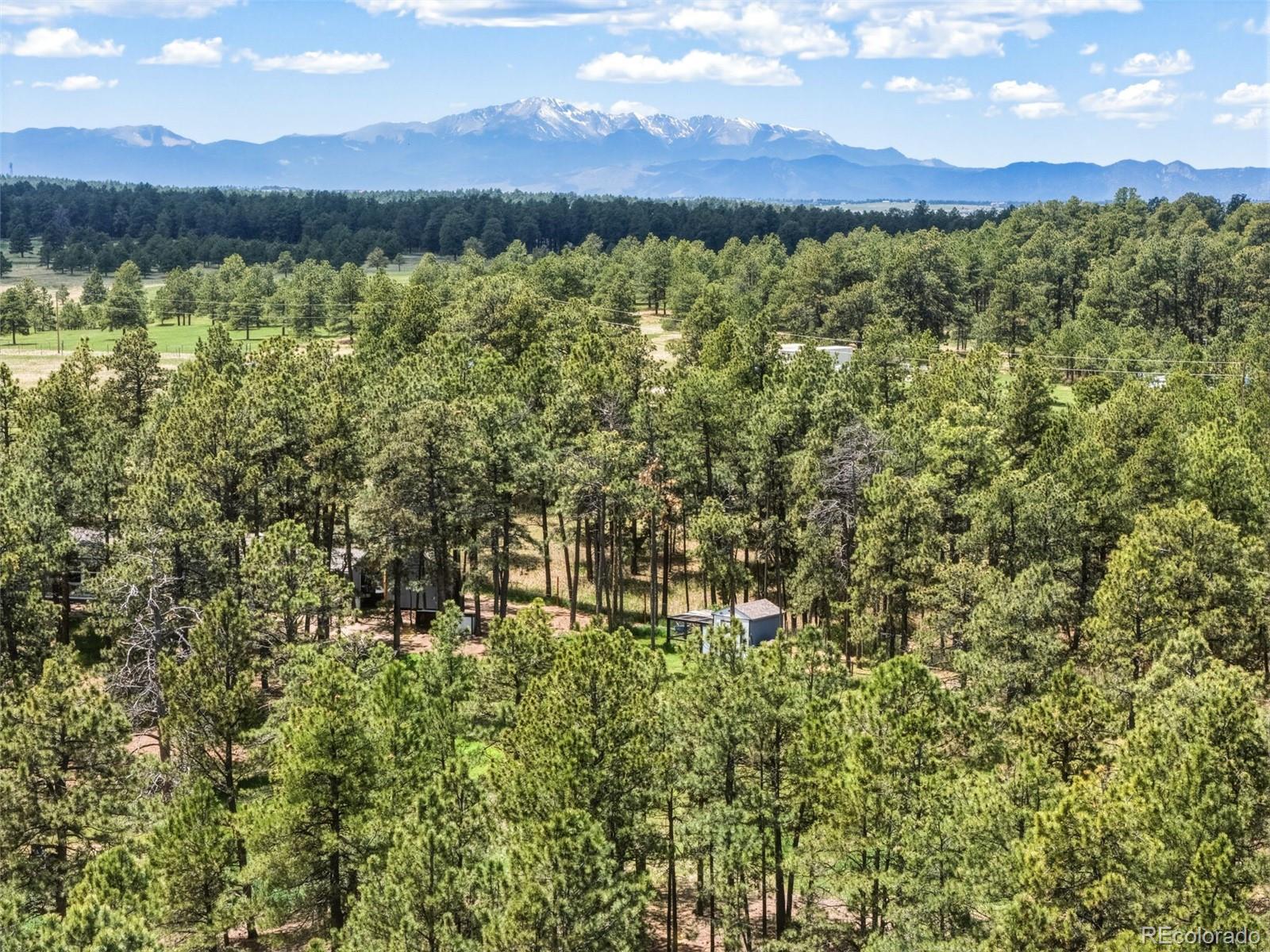 MLS Image #46 for 18440  black squirrel road,colorado springs, Colorado