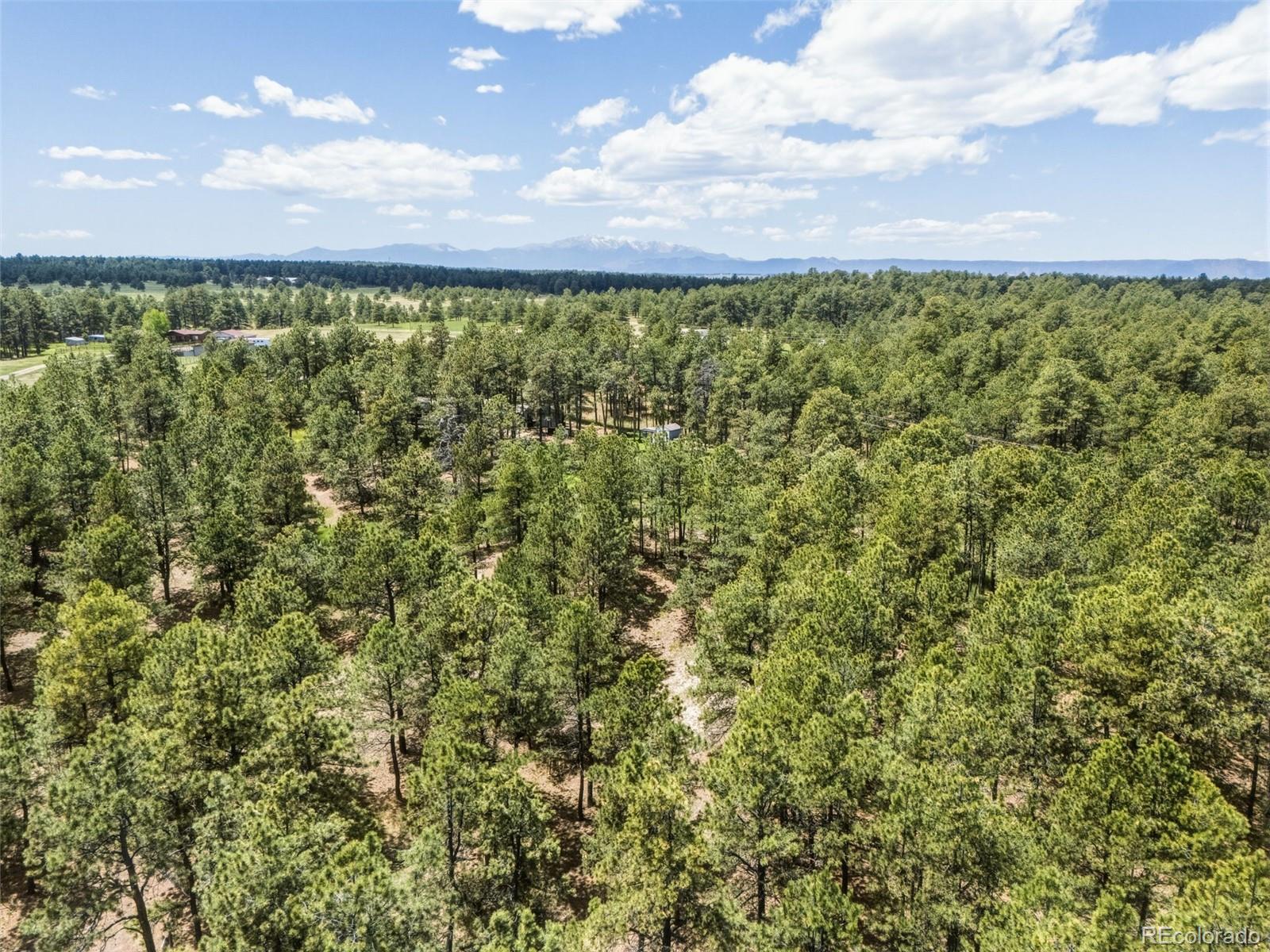 MLS Image #48 for 18440  black squirrel road,colorado springs, Colorado
