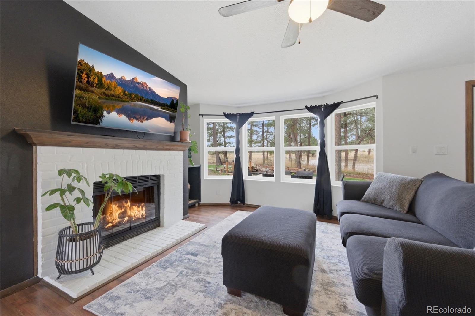 MLS Image #7 for 18440  black squirrel road,colorado springs, Colorado