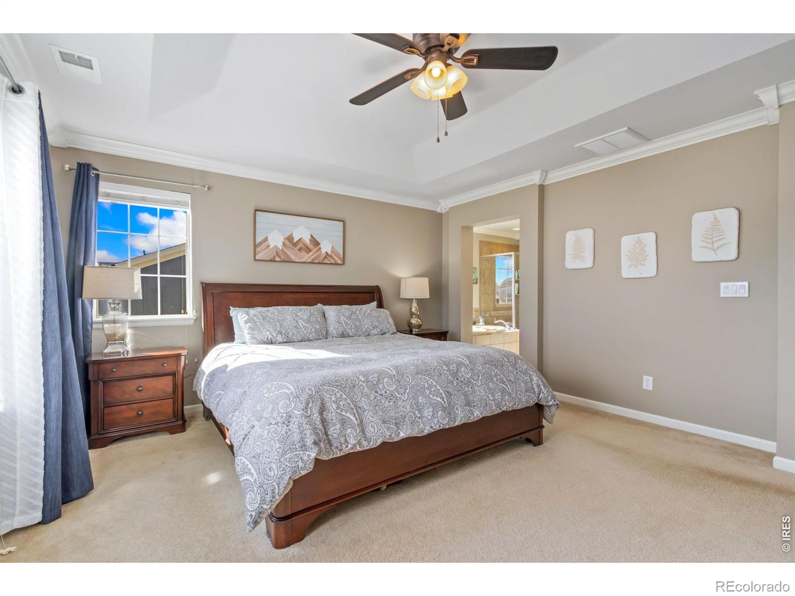 MLS Image #18 for 6772  rainier road,timnath, Colorado