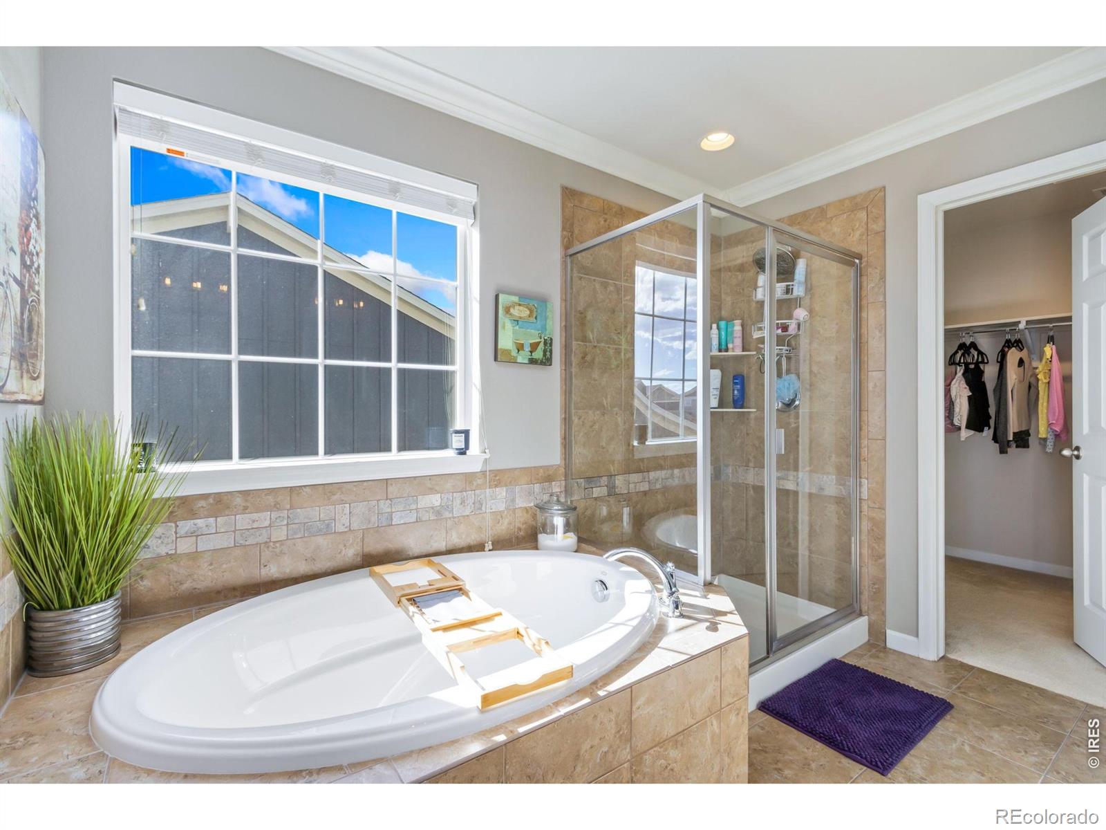 MLS Image #20 for 6772  rainier road,timnath, Colorado
