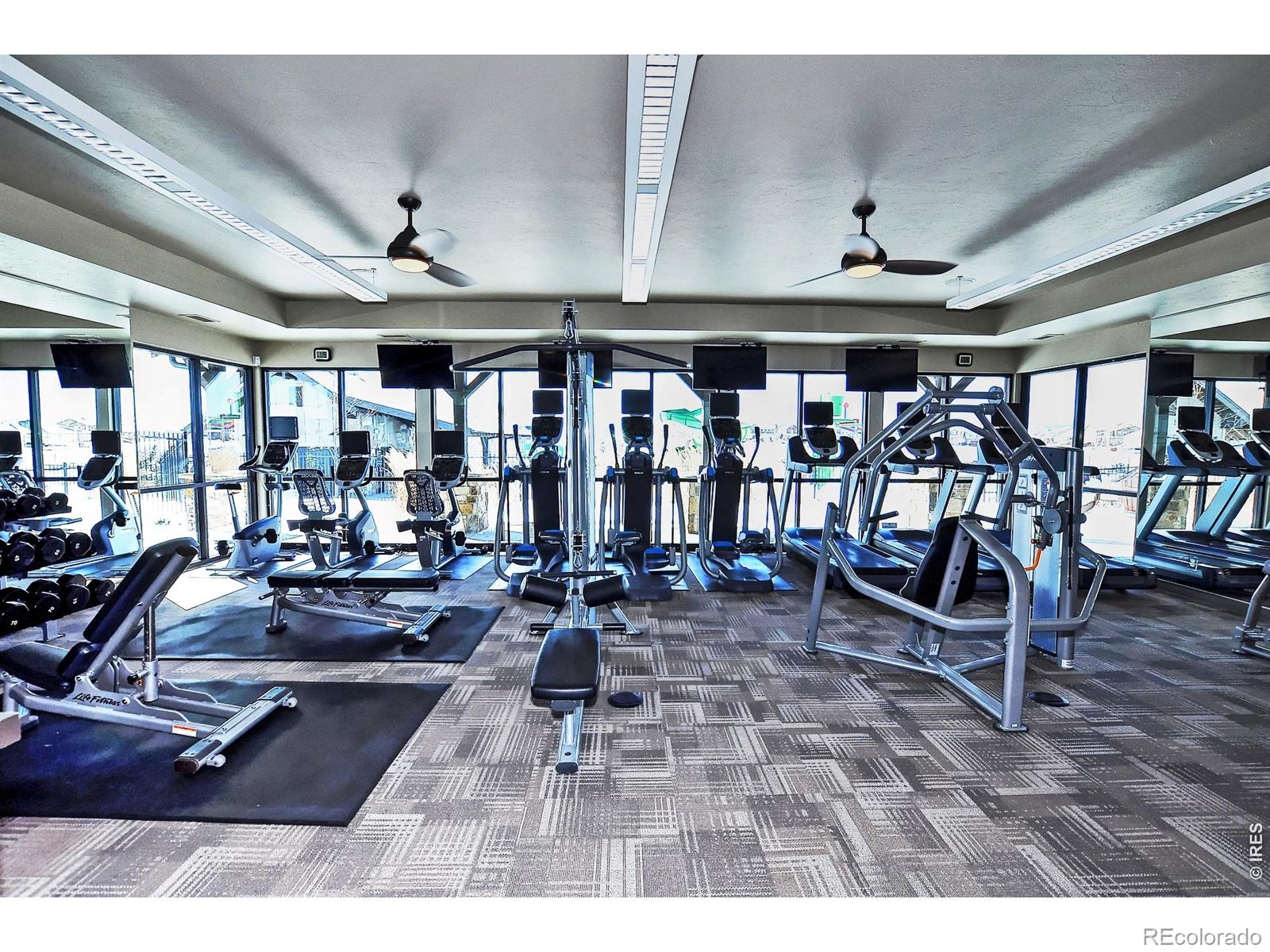 MLS Image #42 for 6772  rainier road,timnath, Colorado