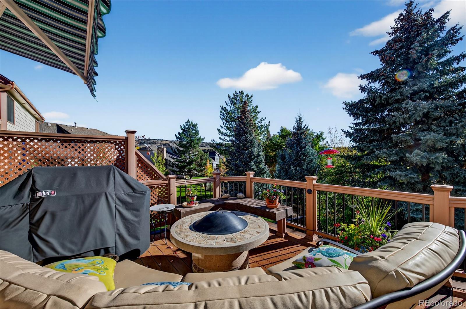 MLS Image #29 for 173  willowleaf drive,littleton, Colorado