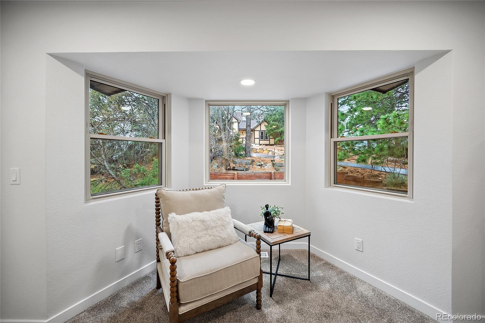 MLS Image #18 for 935  war eagle drive,colorado springs, Colorado