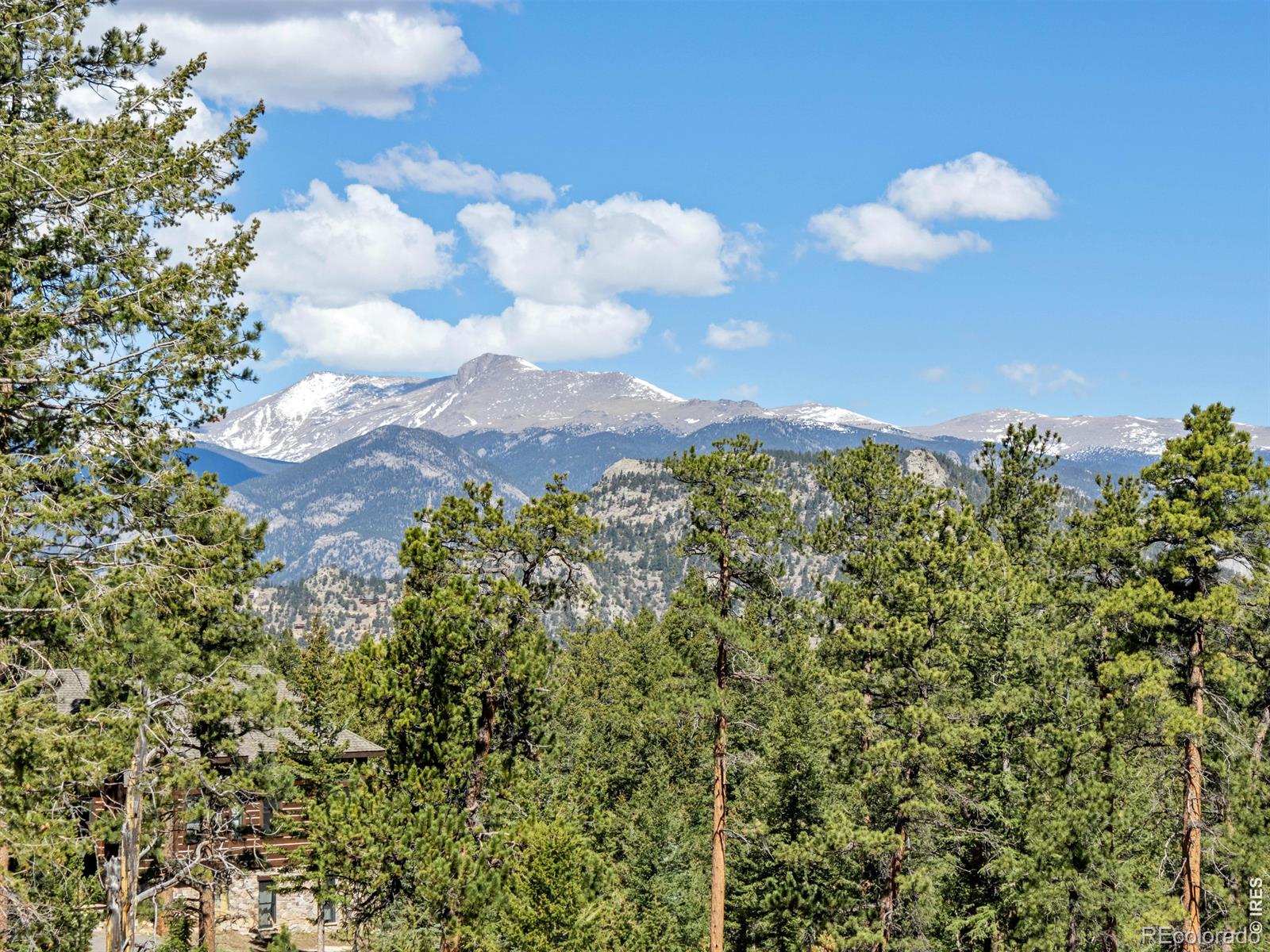 MLS Image #3 for 3821  dollar lake drive,estes park, Colorado