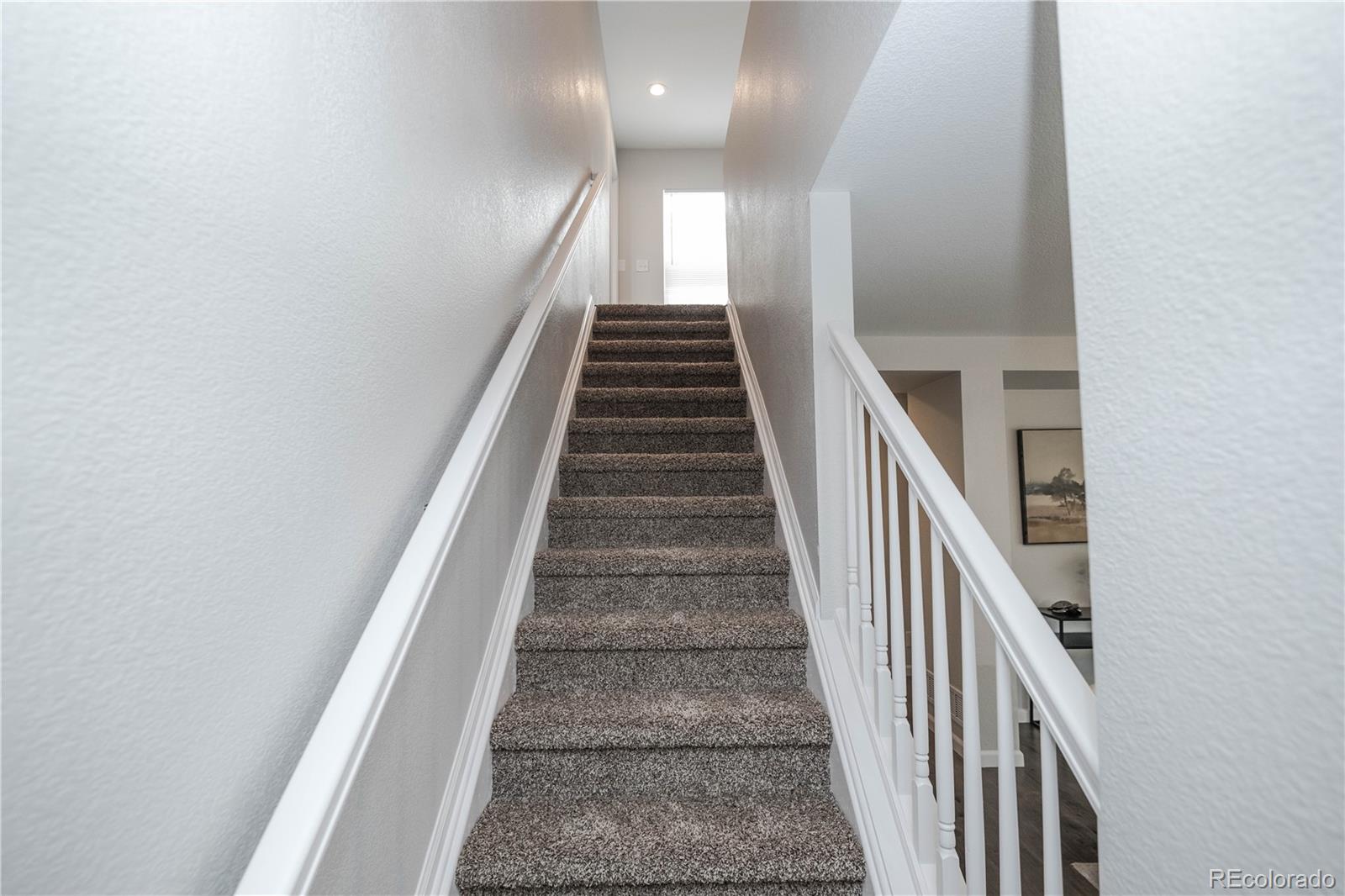 MLS Image #20 for 5887  raleigh circle,castle rock, Colorado