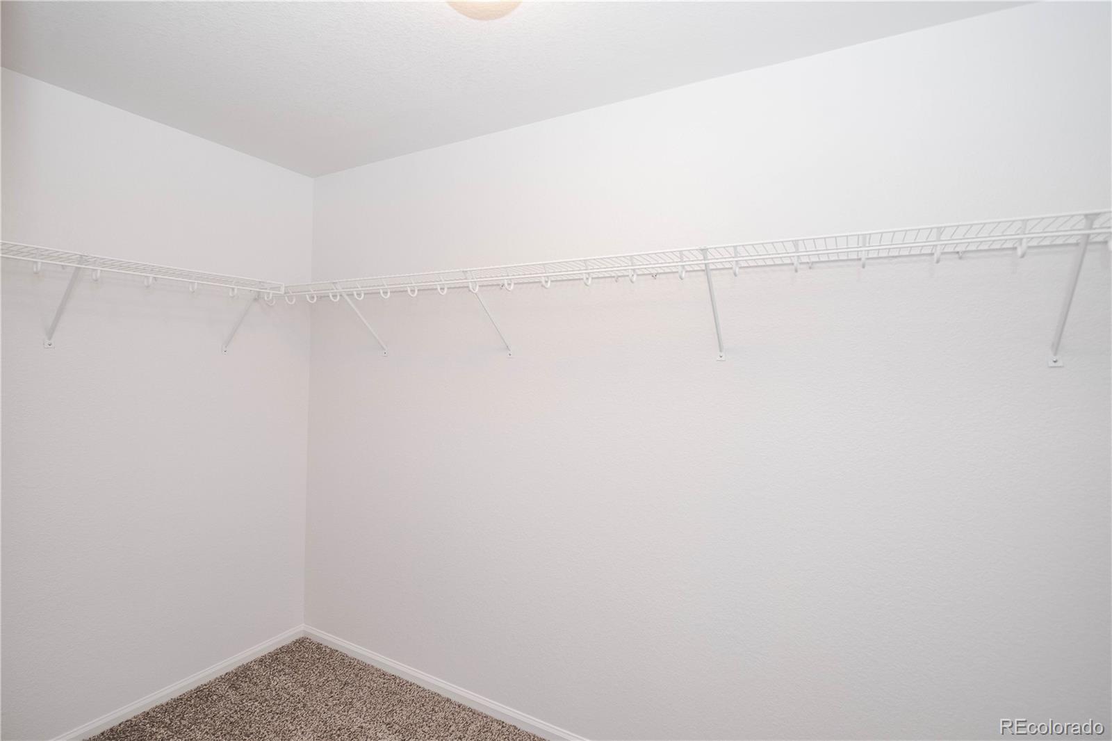 MLS Image #24 for 5887  raleigh circle,castle rock, Colorado
