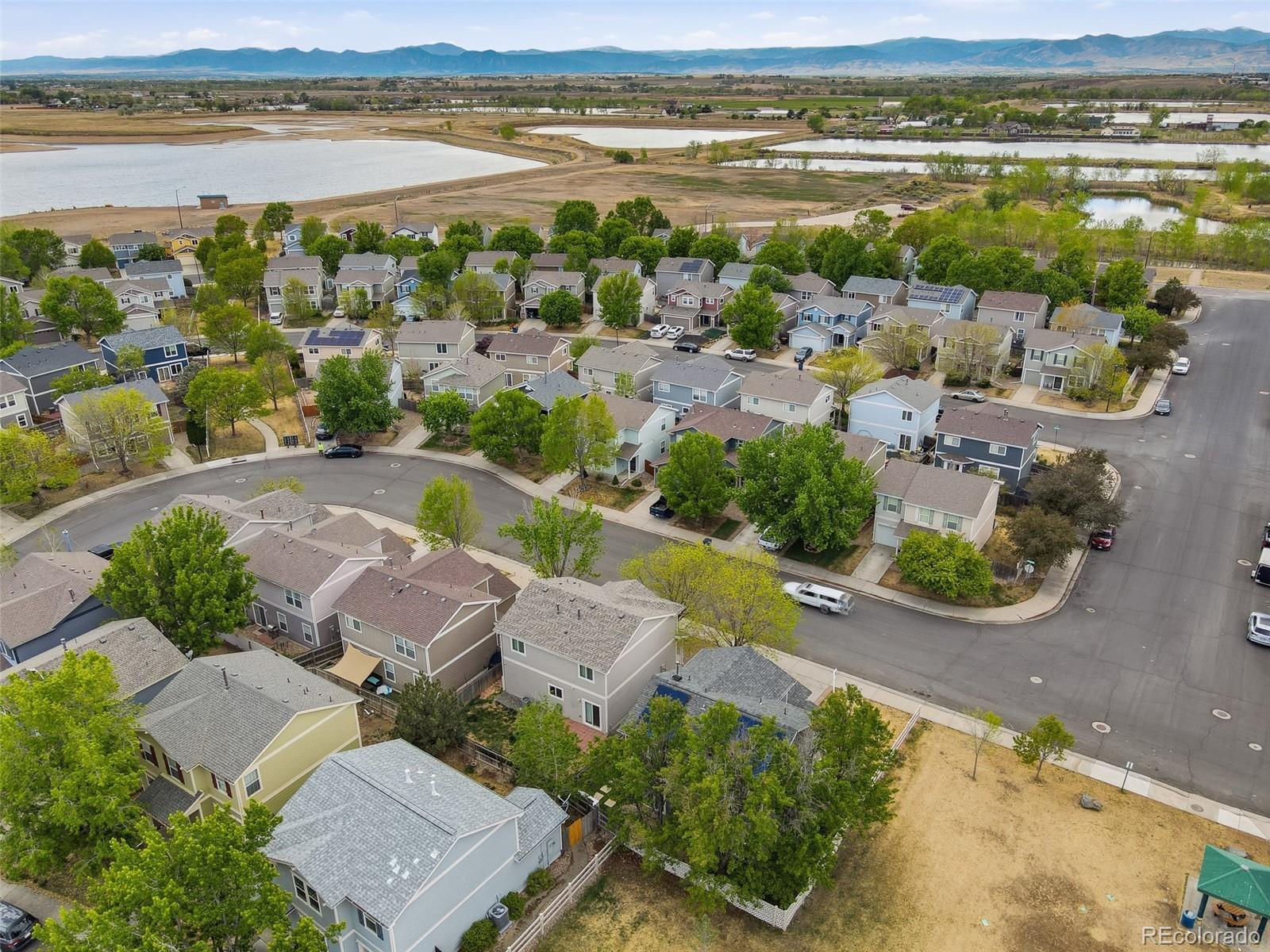 MLS Image #36 for 10598  forester place,longmont, Colorado