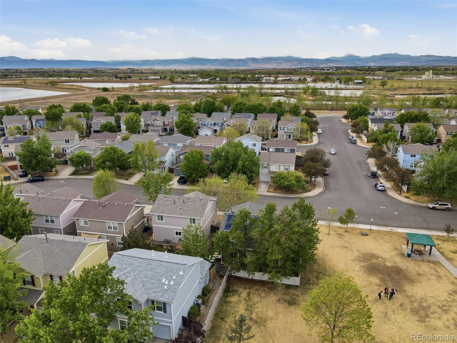 MLS Image #41 for 10598  forester place,longmont, Colorado