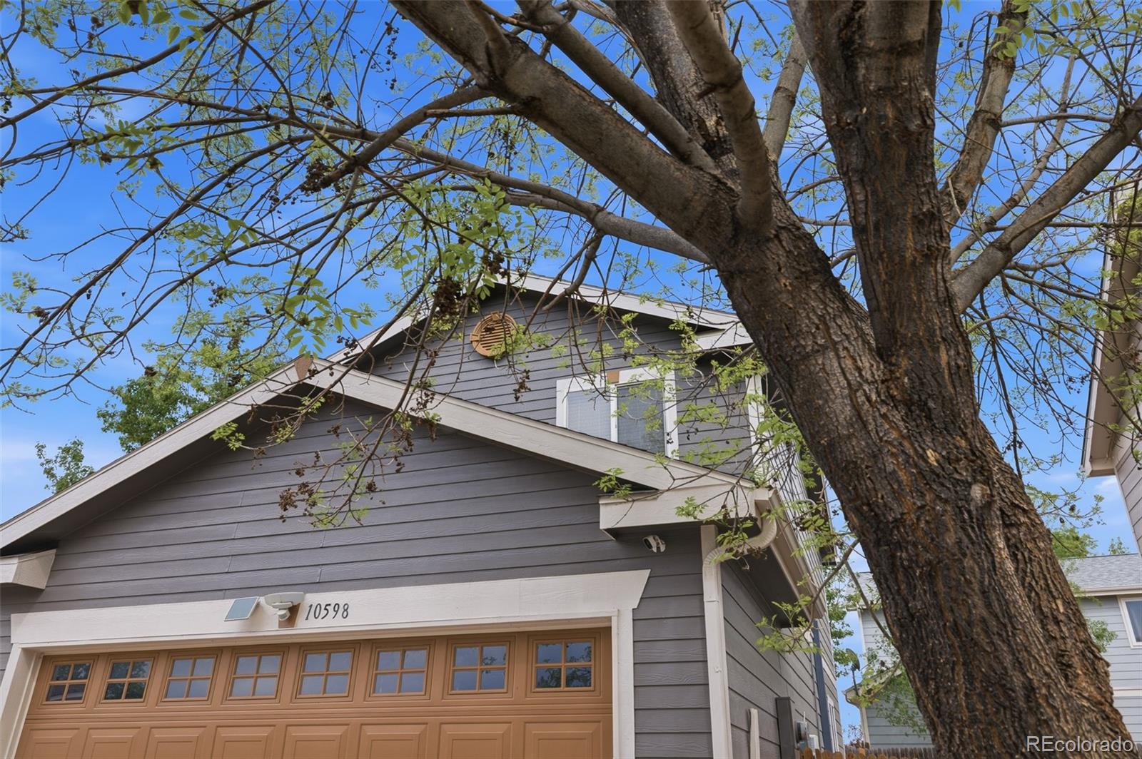 MLS Image #45 for 10598  forester place,longmont, Colorado