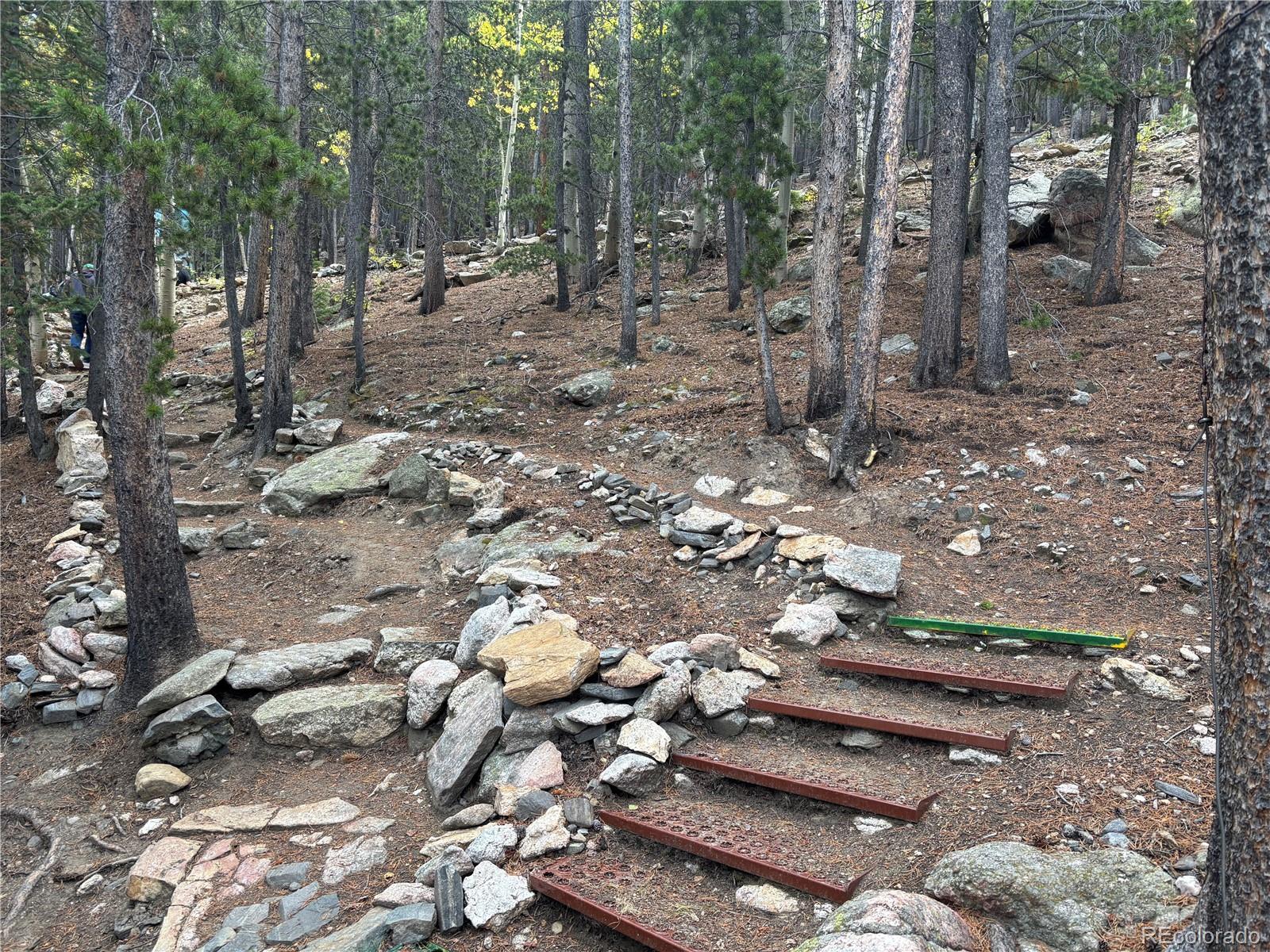 MLS Image #12 for 3504  hidden wilderness road,idaho springs, Colorado