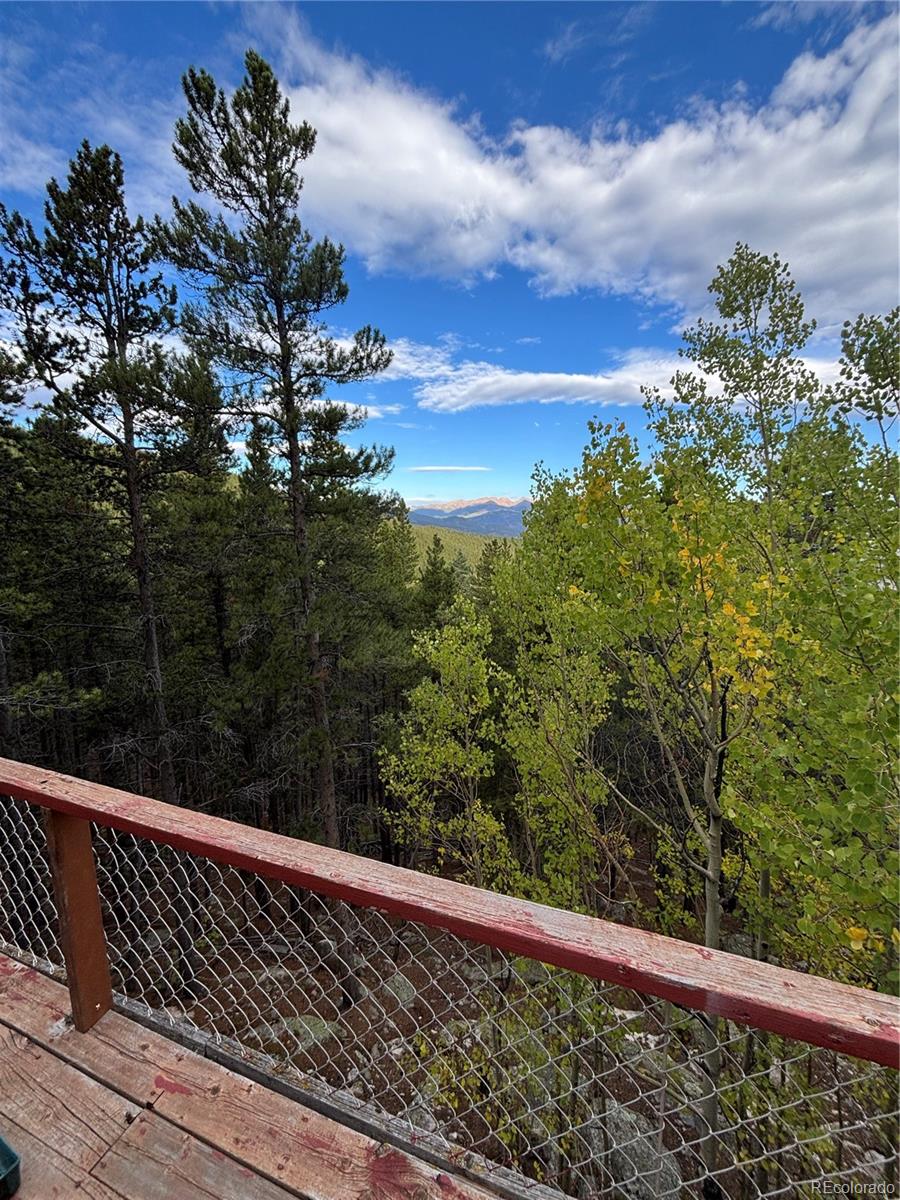 MLS Image #13 for 3504  hidden wilderness road,idaho springs, Colorado