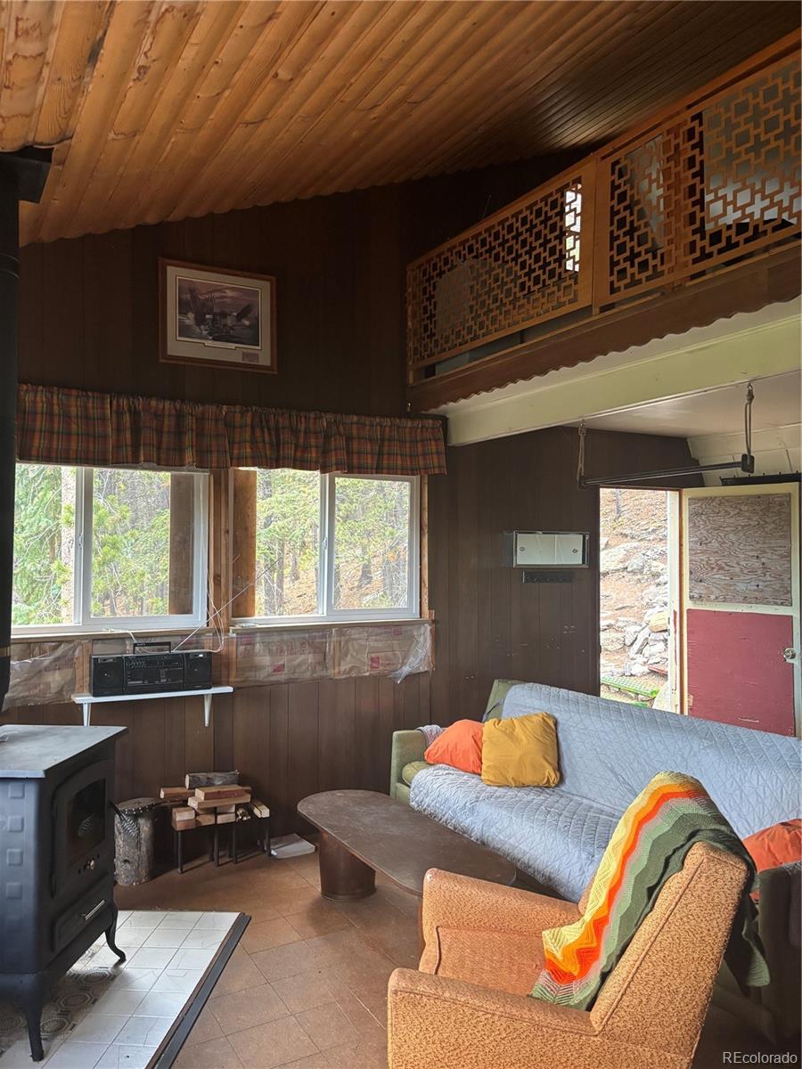 MLS Image #16 for 3504  hidden wilderness road,idaho springs, Colorado