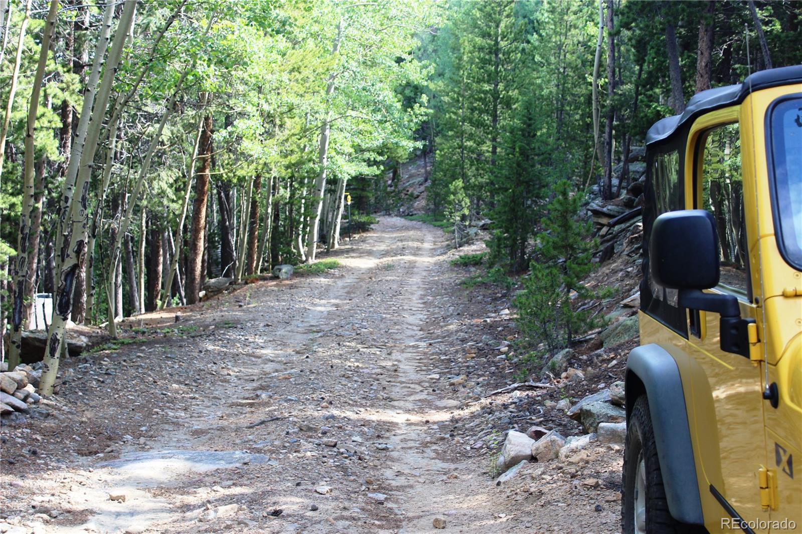 MLS Image #2 for 3504  hidden wilderness road,idaho springs, Colorado