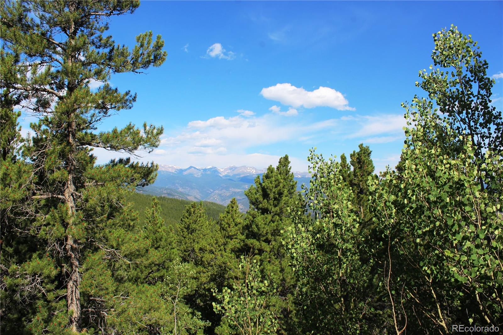 MLS Image #3 for 3504  hidden wilderness road,idaho springs, Colorado