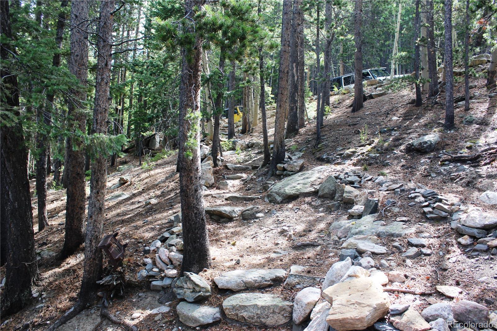 MLS Image #6 for 3504  hidden wilderness road,idaho springs, Colorado