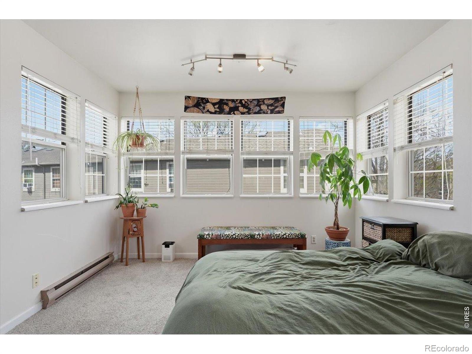 MLS Image #13 for 3200  azalea drive,fort collins, Colorado