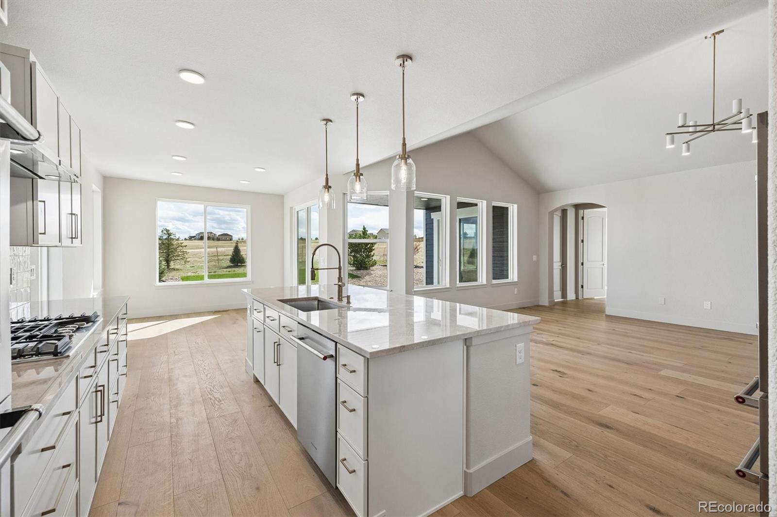 MLS Image #11 for 2490  antelope ridge trail,parker, Colorado