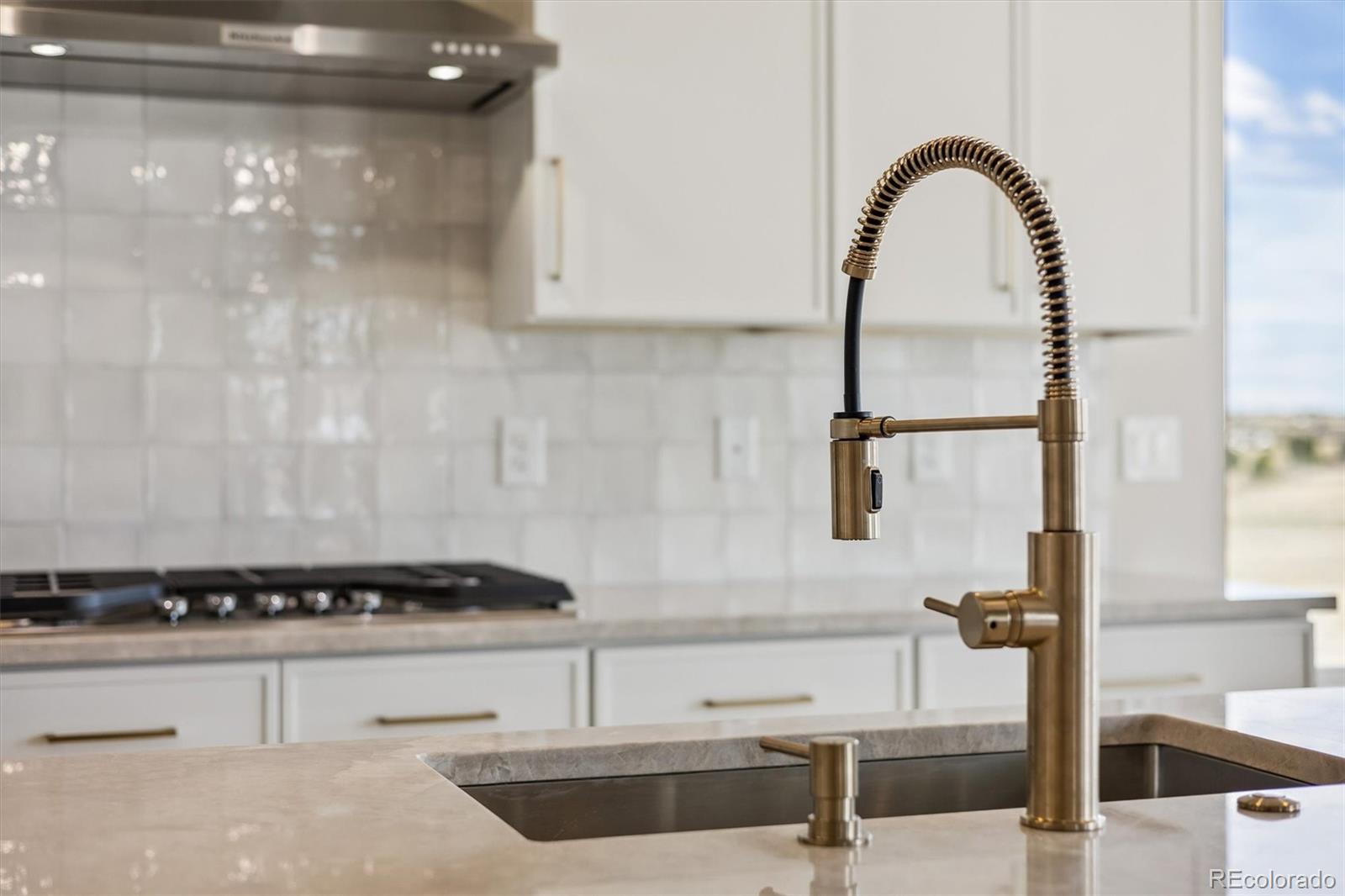 MLS Image #17 for 2490  antelope ridge trail,parker, Colorado