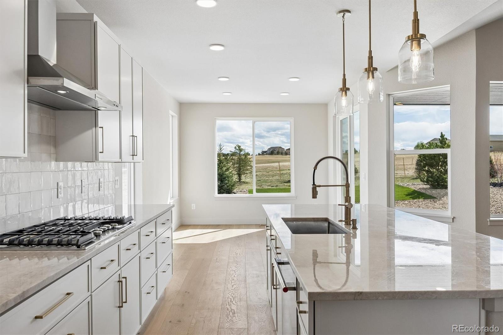 MLS Image #20 for 2490  antelope ridge trail,parker, Colorado