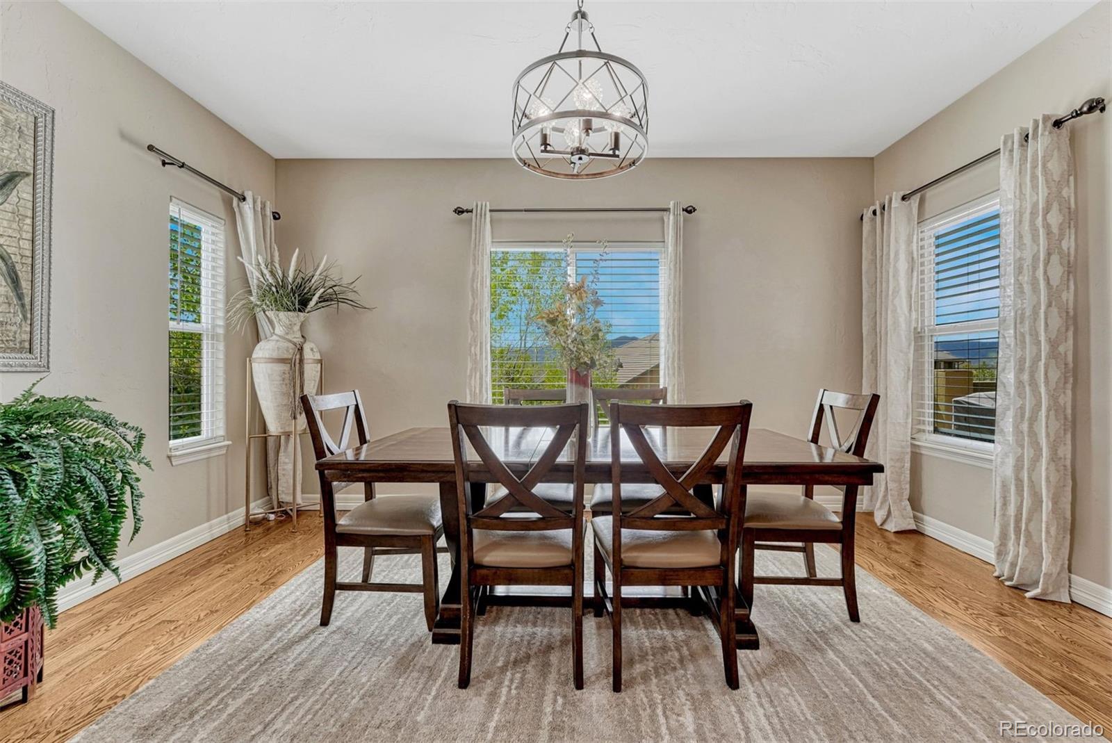 MLS Image #8 for 13258  dominus way,colorado springs, Colorado