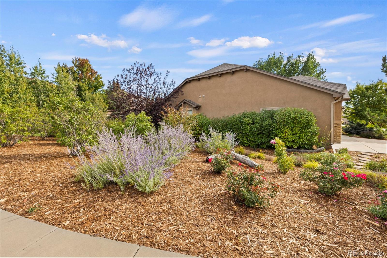 MLS Image #34 for 1102  crystal basin drive,colorado springs, Colorado