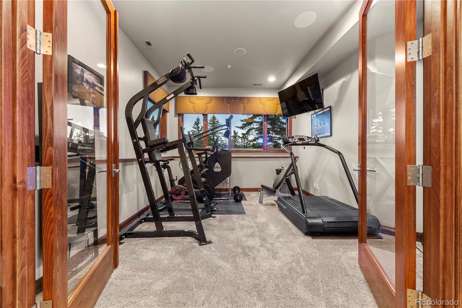 MLS Image #28 for 2217  rainbows end point,colorado springs, Colorado