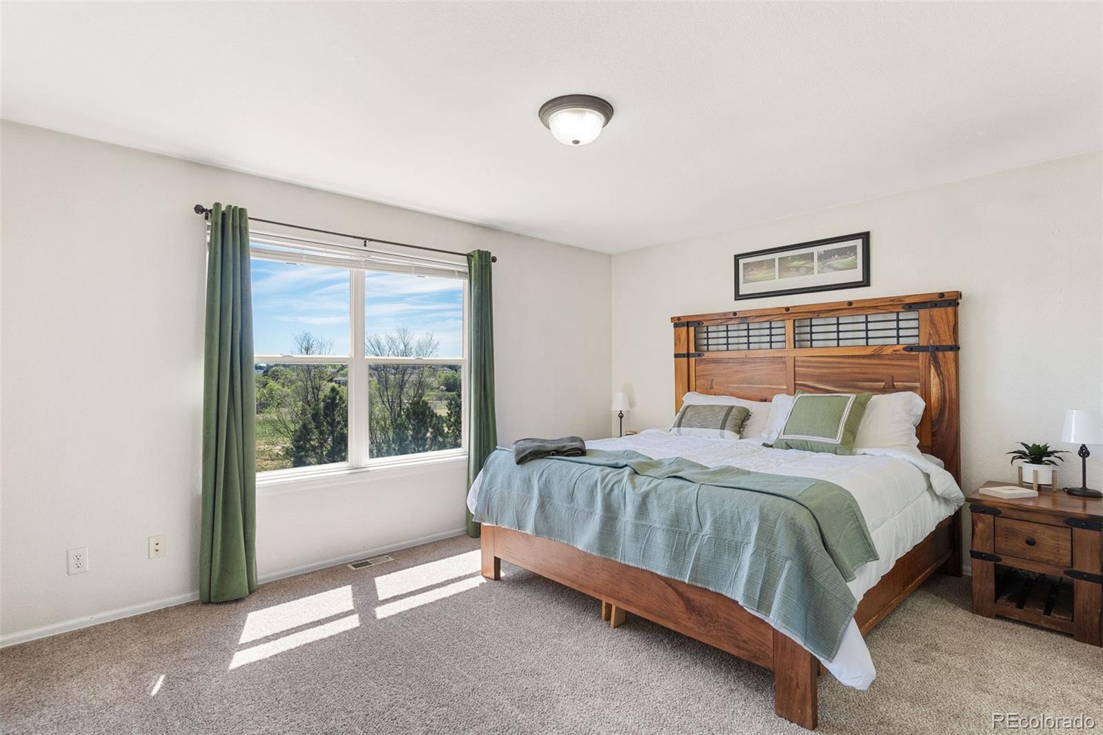 MLS Image #11 for 3523  indigo ridge point,colorado springs, Colorado