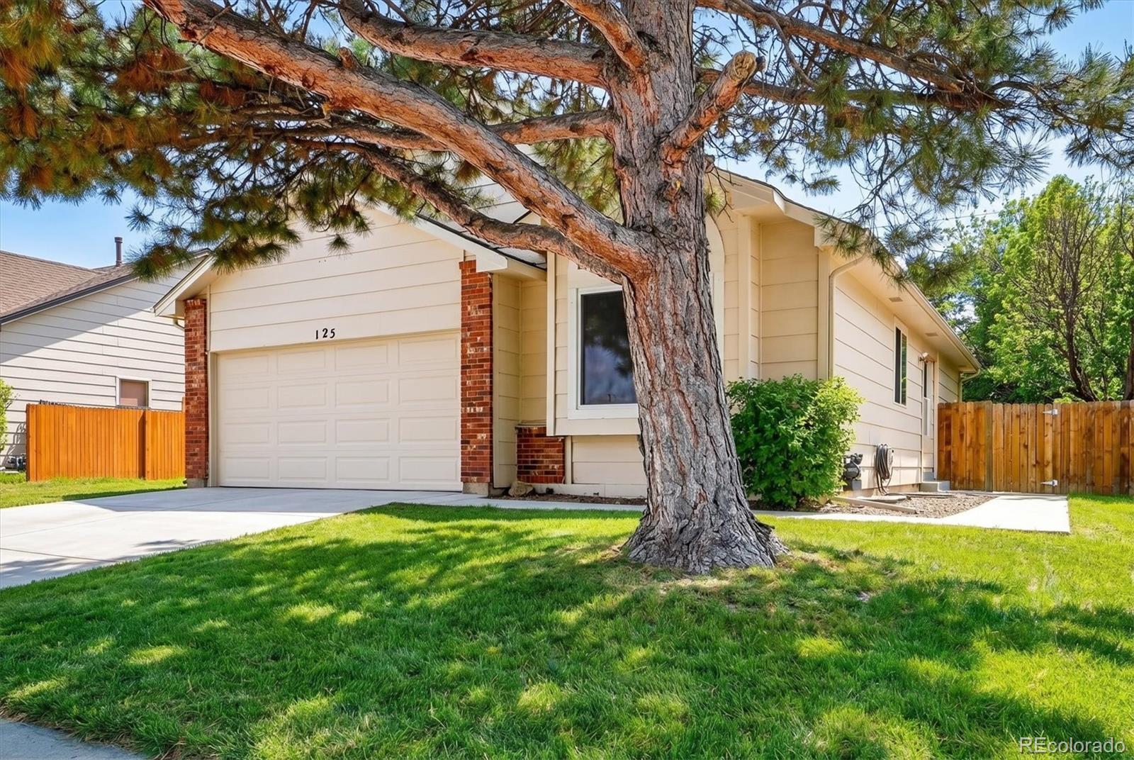 MLS Image #2 for 125 n holcomb street,castle rock, Colorado