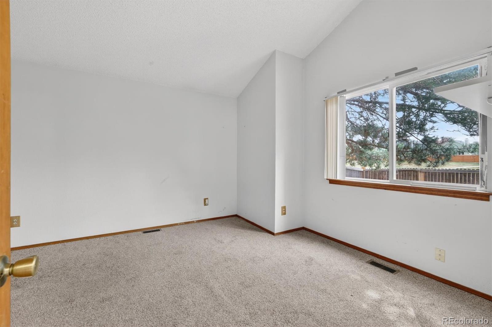 MLS Image #20 for 125 n holcomb street,castle rock, Colorado