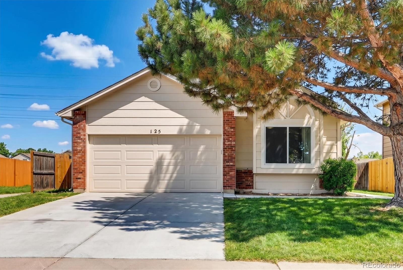 MLS Image #3 for 125 n holcomb street,castle rock, Colorado