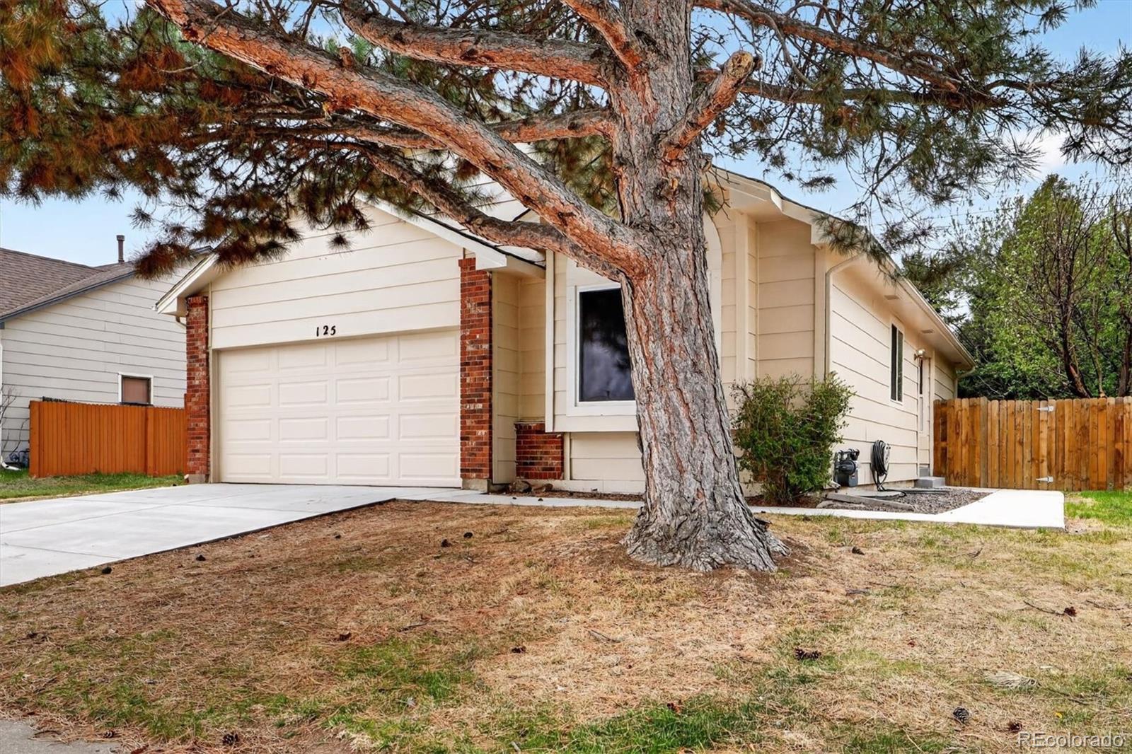 MLS Image #5 for 125 n holcomb street,castle rock, Colorado