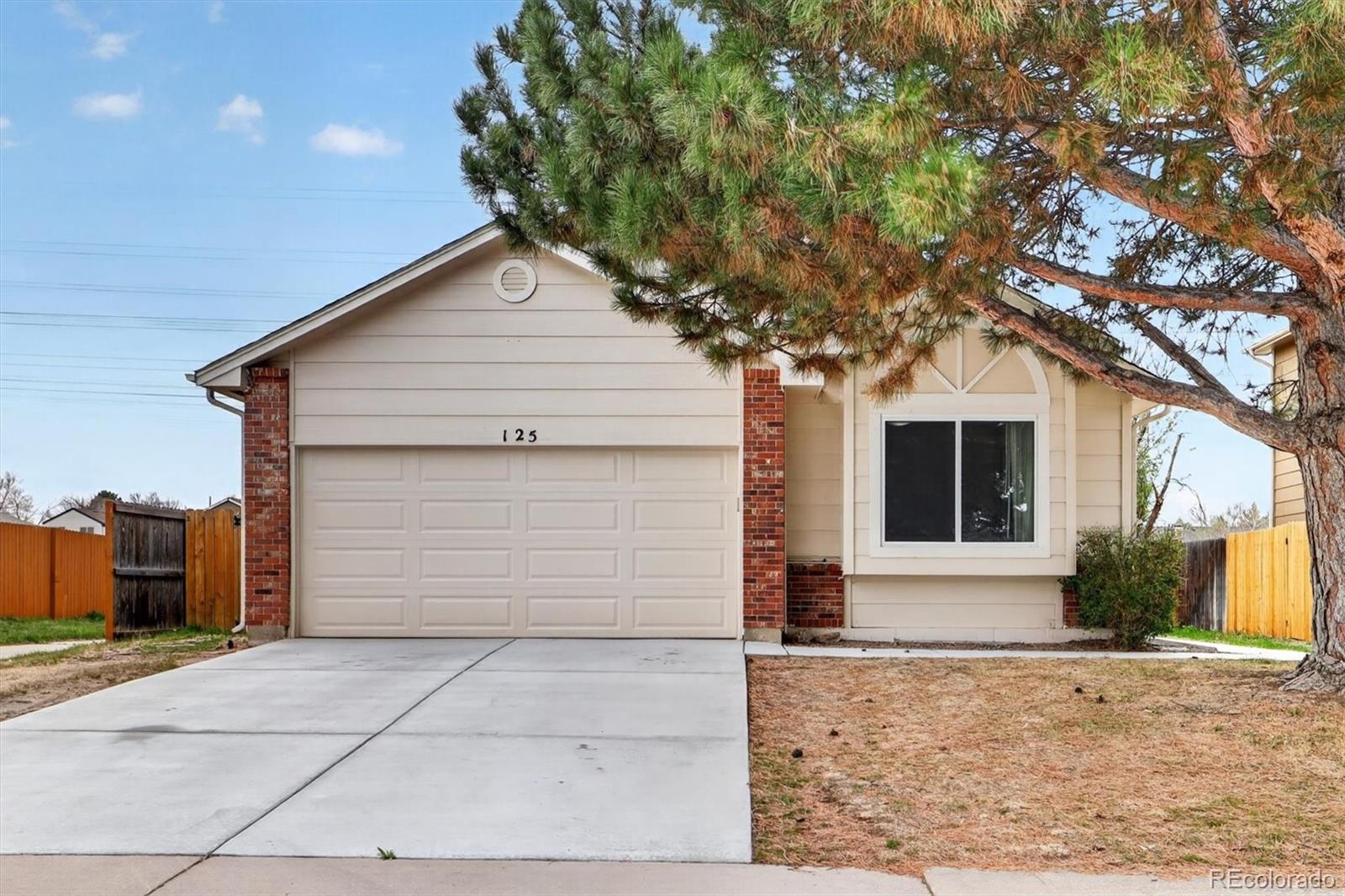 MLS Image #6 for 125 n holcomb street,castle rock, Colorado