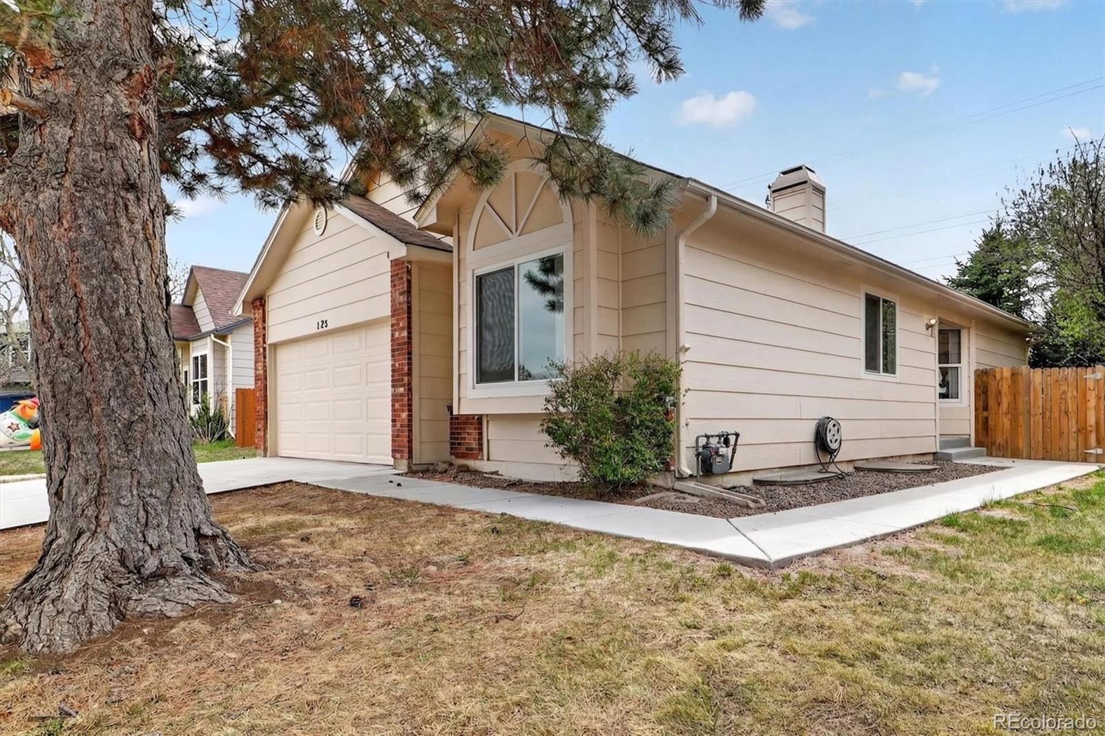 MLS Image #8 for 125 n holcomb street,castle rock, Colorado