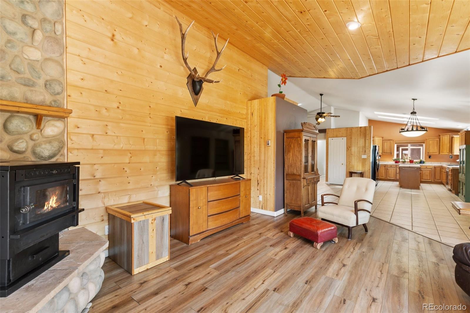 MLS Image #14 for 689  divide south ,divide, Colorado