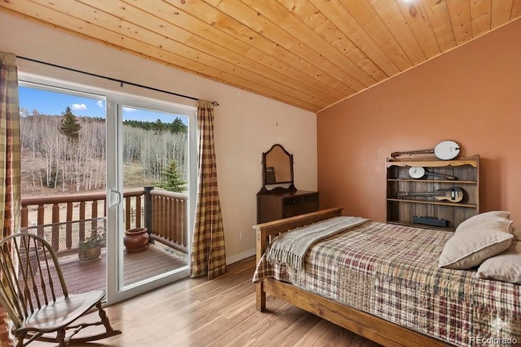 MLS Image #27 for 689  divide south ,divide, Colorado