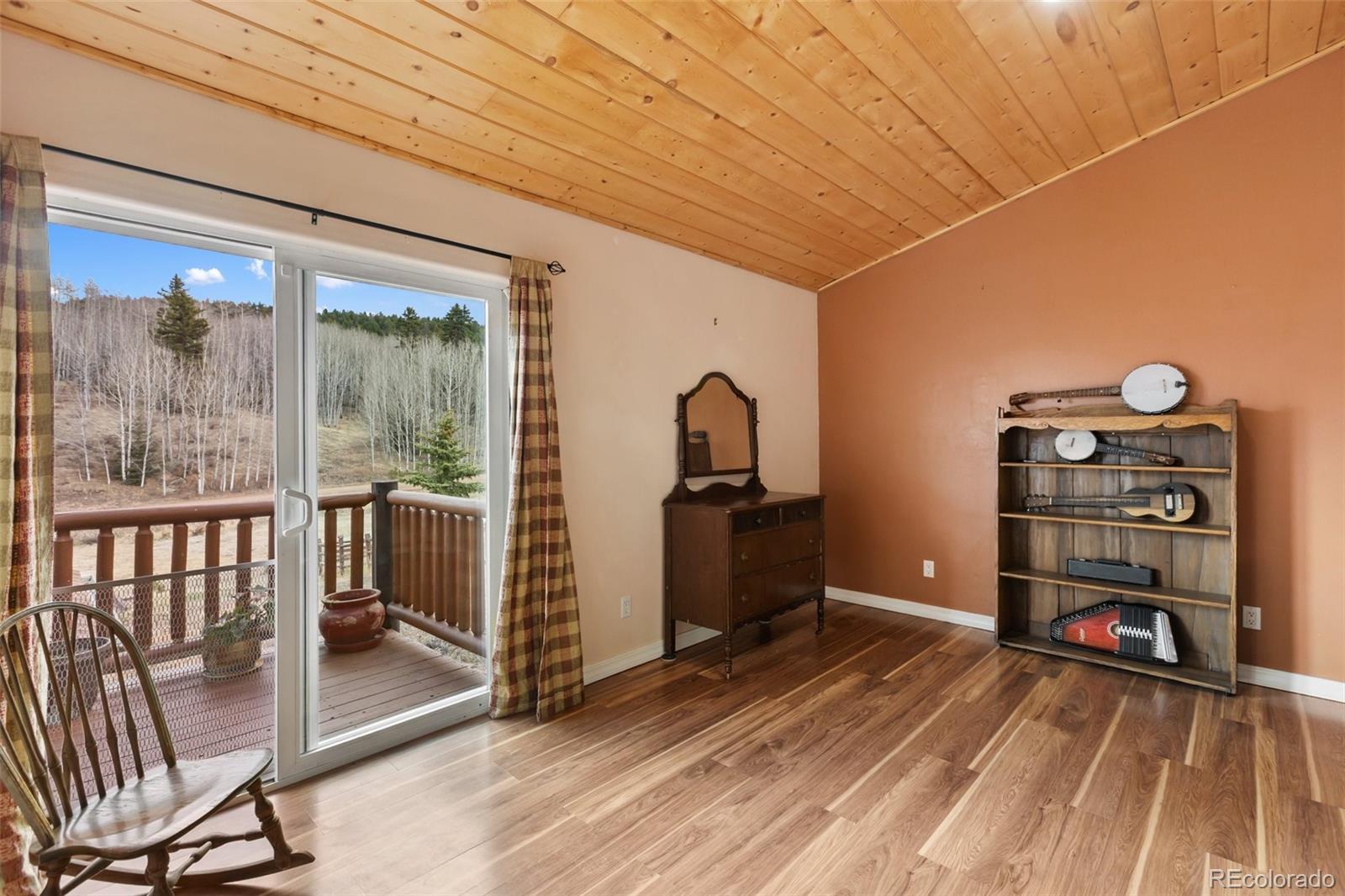 MLS Image #28 for 689  divide south ,divide, Colorado
