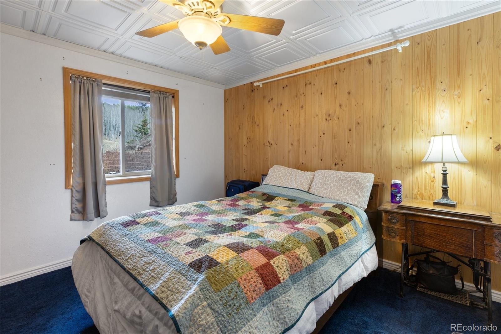 MLS Image #41 for 689  divide south ,divide, Colorado