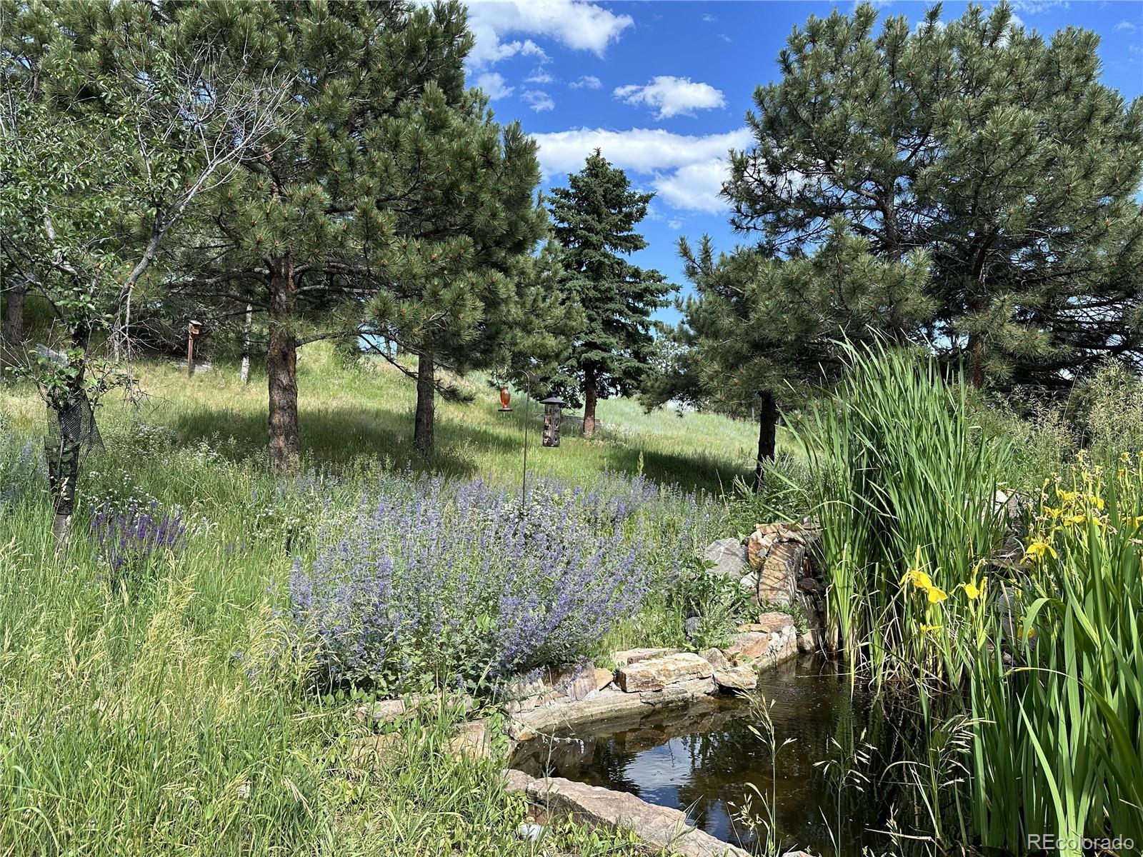 MLS Image #30 for 21946  panorama drive,golden, Colorado