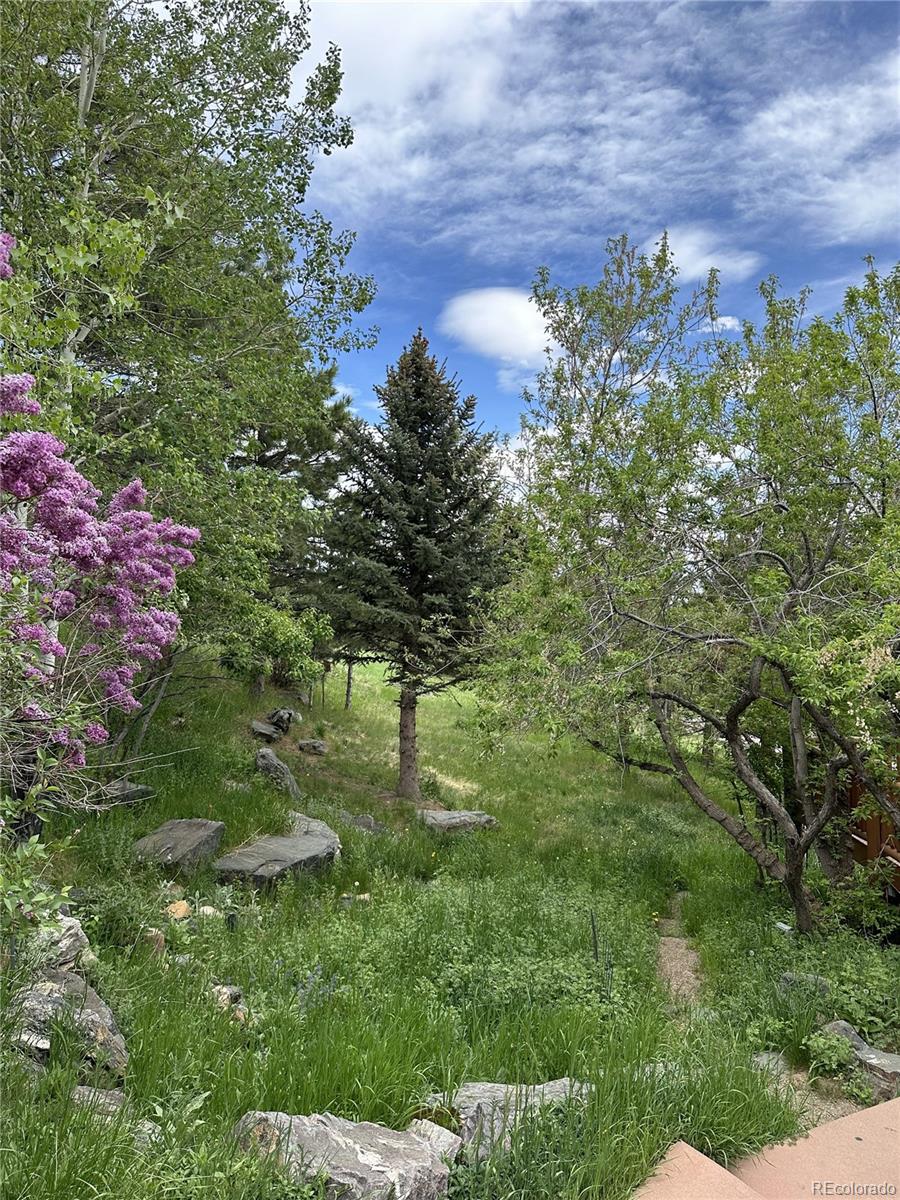 MLS Image #43 for 21946  panorama drive,golden, Colorado