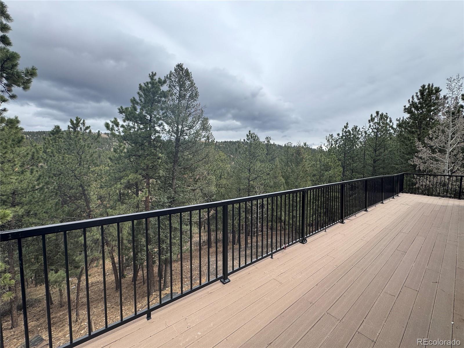 MLS Image #22 for 1534  roland drive,bailey, Colorado