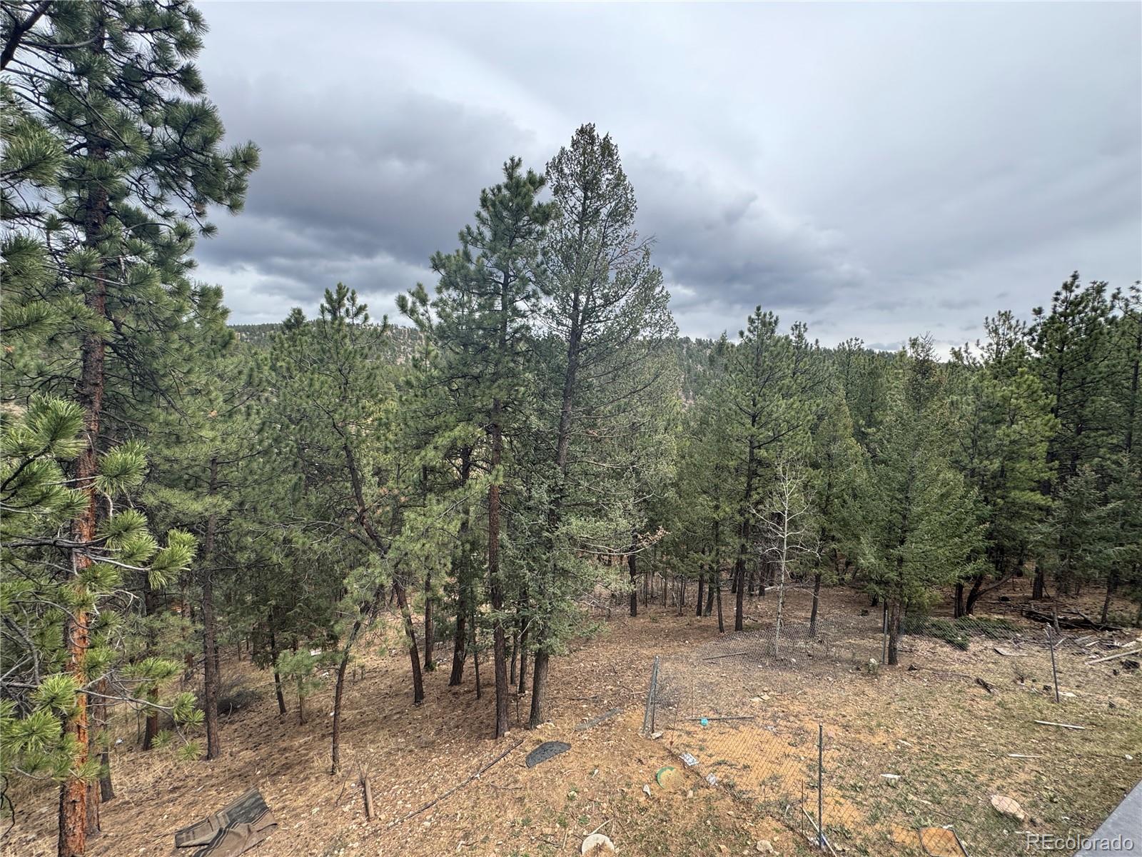 MLS Image #23 for 1534  roland drive,bailey, Colorado