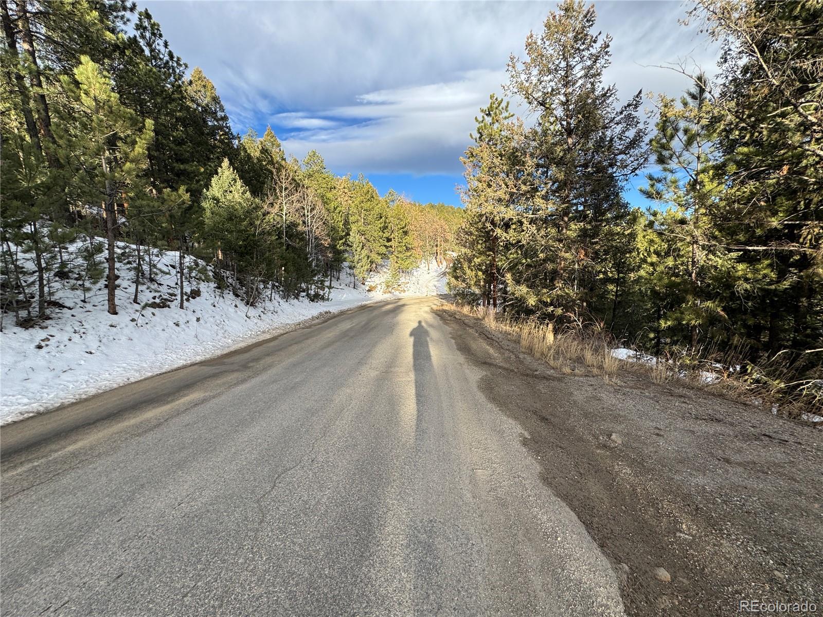 MLS Image #25 for 1534  roland drive,bailey, Colorado