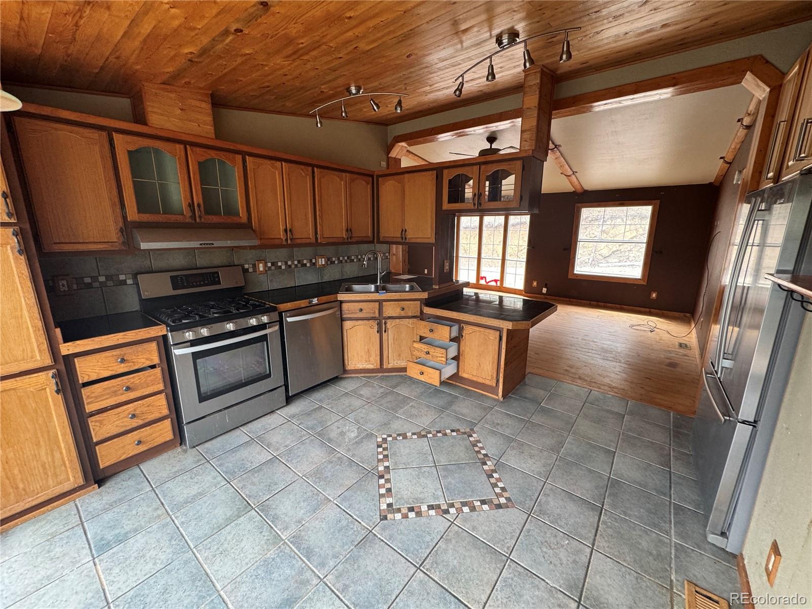 MLS Image #9 for 1534  roland drive,bailey, Colorado
