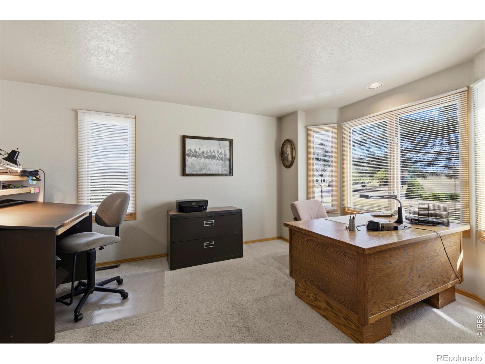 MLS Image #4 for 3363  crest drive,loveland, Colorado
