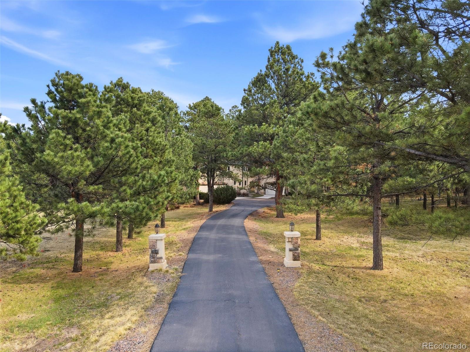 MLS Image #5 for 20175  wissler ranch road,colorado springs, Colorado