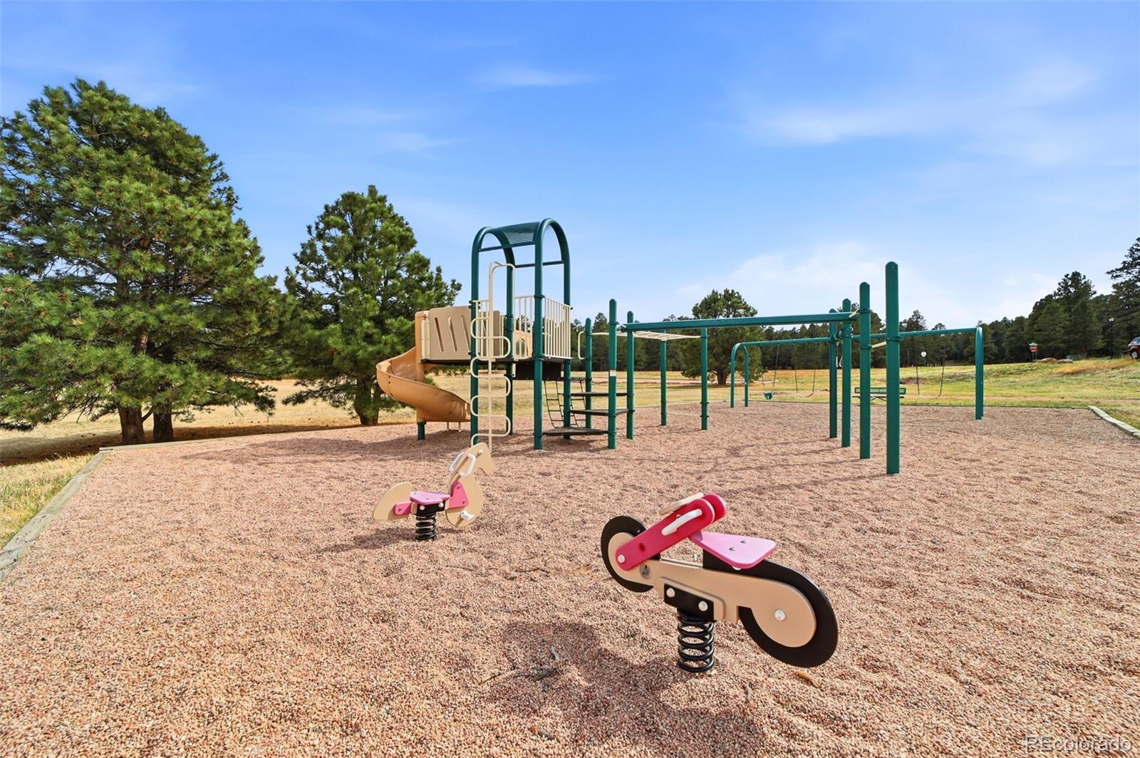 MLS Image #7 for 20175  wissler ranch road,colorado springs, Colorado