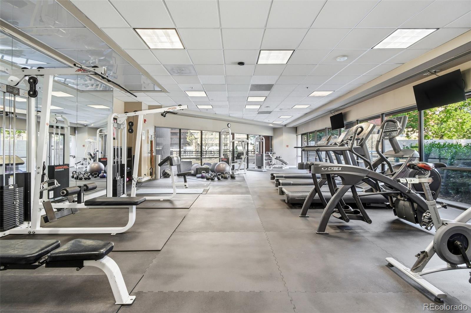 MLS Image #28 for 100  park avenue,denver, Colorado