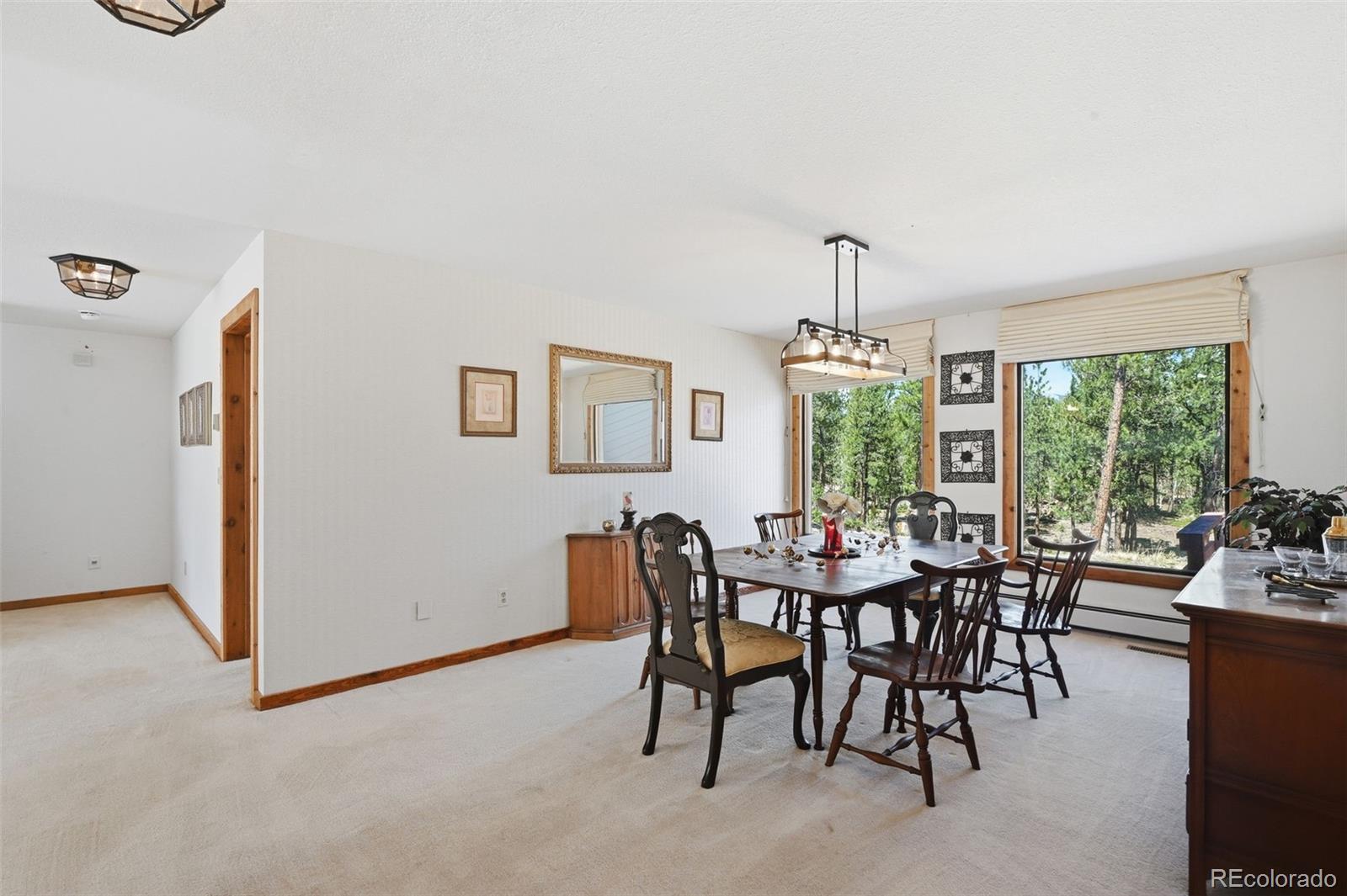 MLS Image #10 for 107  ox yoke lane,bailey, Colorado