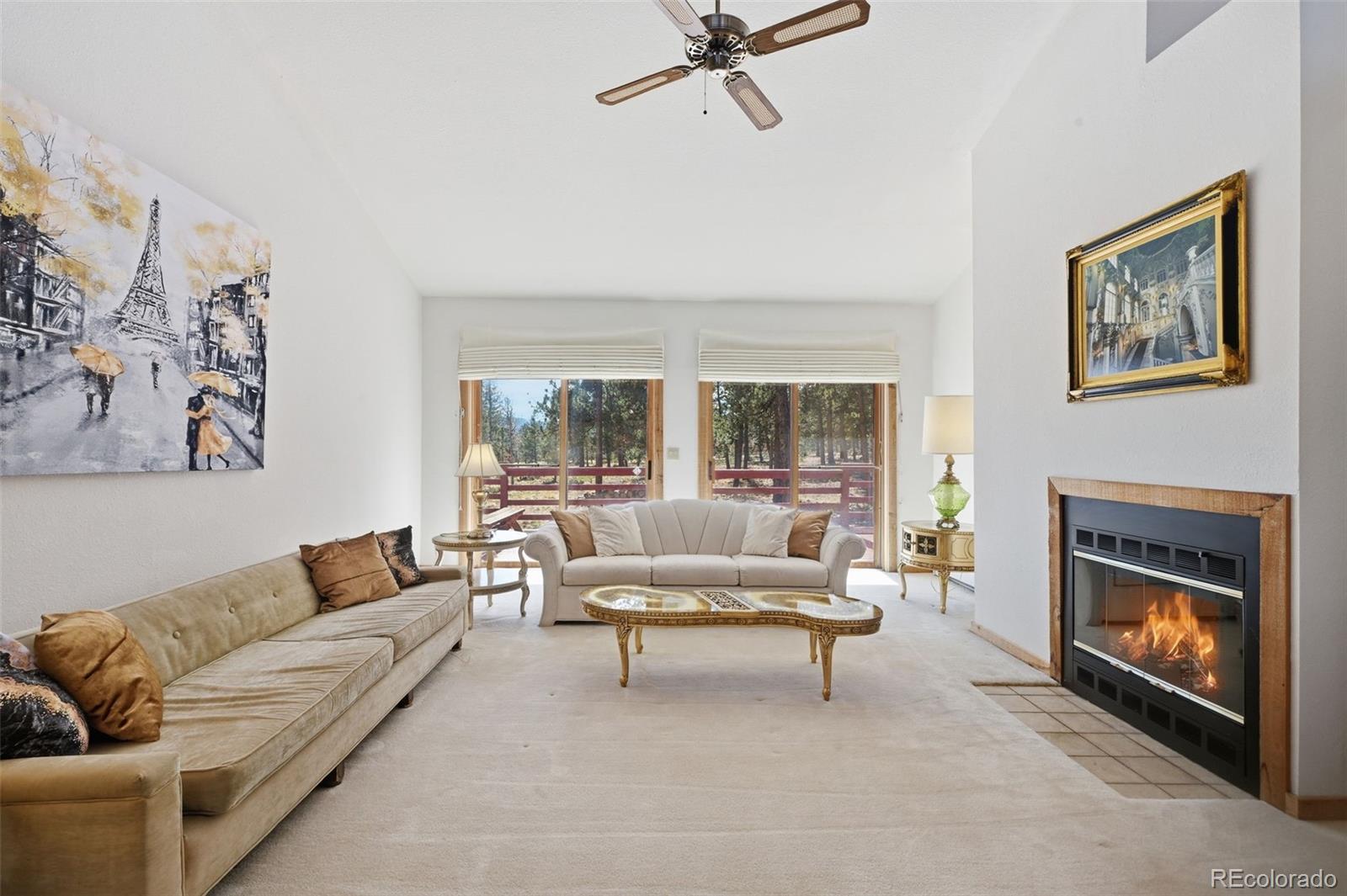 MLS Image #16 for 107  ox yoke lane,bailey, Colorado